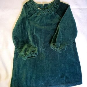 NWT velvet green dress